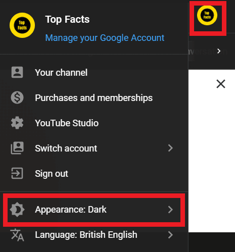 youtube-appearance-option