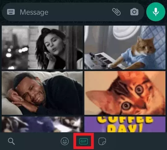 Select GIF on Whatsapp