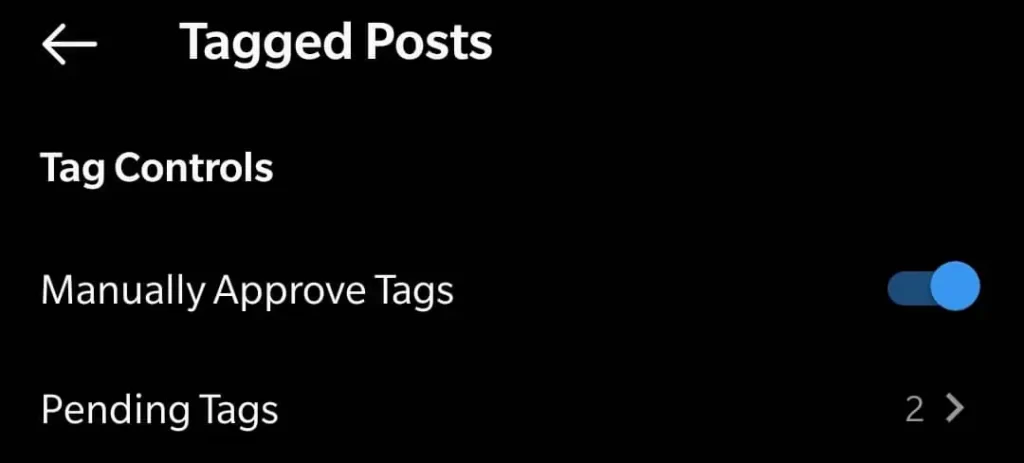 turn-on-manually-approve-tags