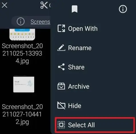 select-all-screenshots-android