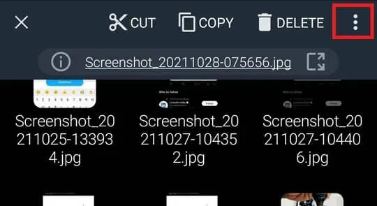 select-screenshot-fx-file-explorer