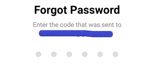 enter-forgot-password-code