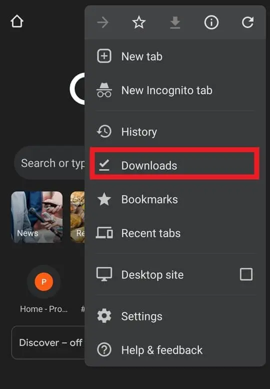 Select Chrome Downloads