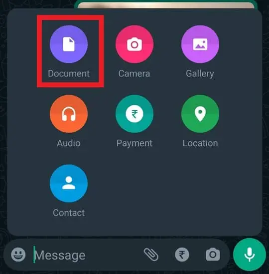 Select Whatsapp Document option
